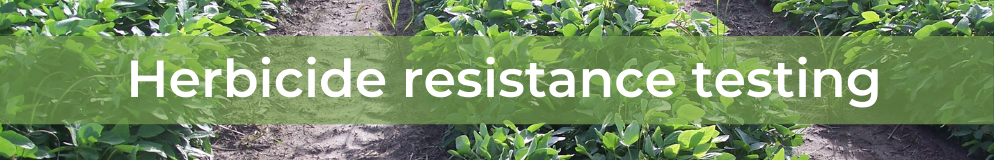 Herbicide resistance testing for grain crops in northern coastal NSW