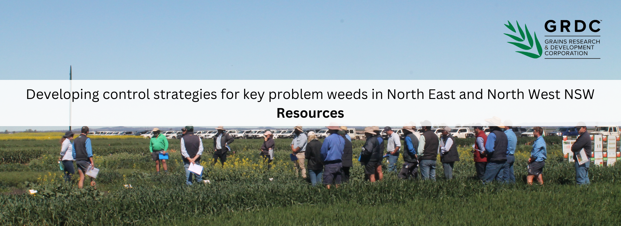 Developing control strategies for key problem weeds in North East and North West NSW - Resources