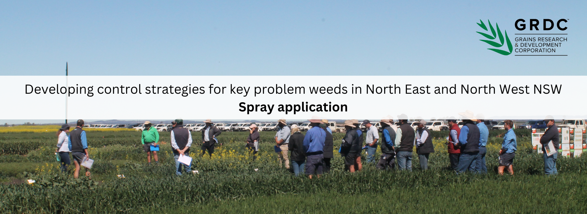 Developing control strategies for key problem weeds in North East and North West NSW - Resources