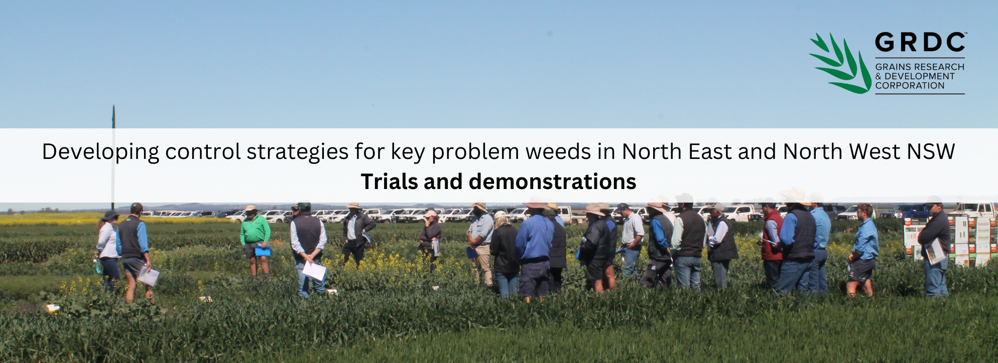 Developing control strategies for key problem weeds in North East and North West NSW - Resources